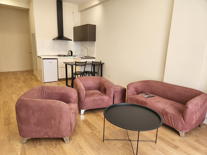 TsereteliFlatwith2Bedrooms Tbilisi - photo 6