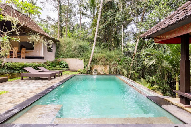 Honey Tree Lodge - Жизнь очень милая! Ubud - изображение 4