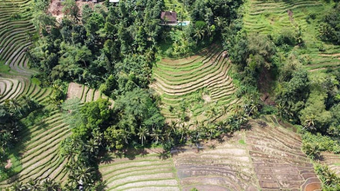 Villa Loti, Jatiluwih Tabanan - изображение 5