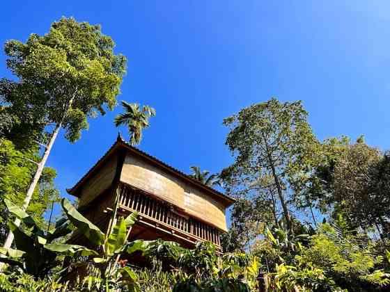 Faraway On Mount Batukaru Tabanan