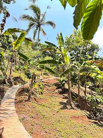 Faraway On Mount Batukaru Tabanan