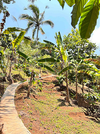 Faraway On Mount Batukaru Tabanan - photo 6