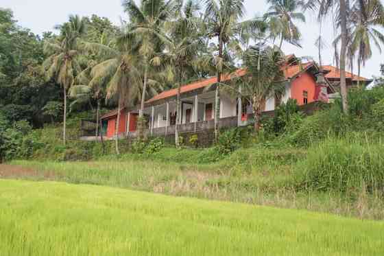 Lotus Guesthouse  - Room 3 Legong Zimmer Singaraja