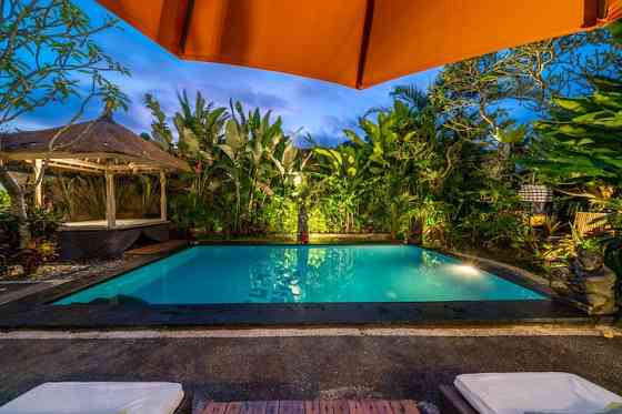 Twin House Eco Вилла, большой бассейн, сад, семья Ubud