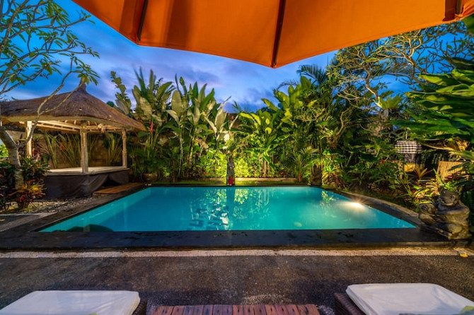 Twin House Eco Вилла, большой бассейн, сад, семья Ubud - photo 6