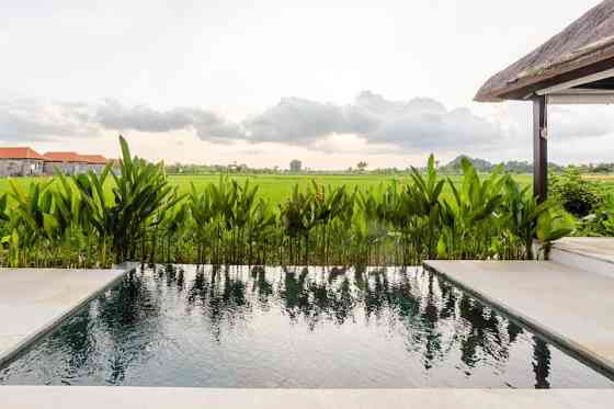 Насладитесь второй медовой луной Ubud