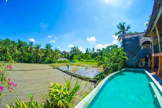 Настоящий бамбуковый дом с панорамным бассейном в Убуде. Ubud