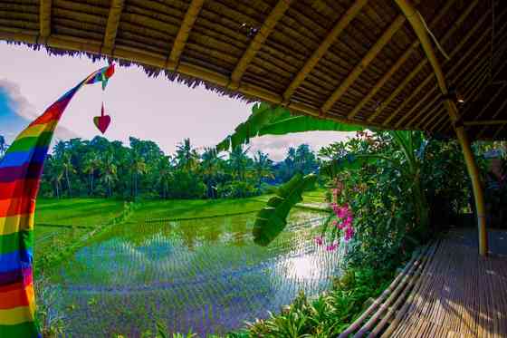 Настоящий бамбуковый дом с панорамным бассейном в Убуде. Ubud