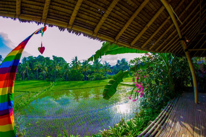 Настоящий бамбуковый дом с панорамным бассейном в Убуде. Ubud - photo 5