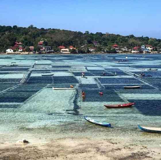 Вилла Kingfisher Lembongan - набережная с 1 спальней Klungkung