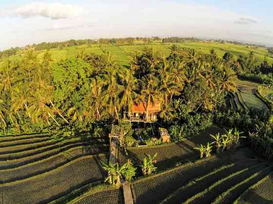 Дом на дереве Bali Treehouse, скрытый, уникальный и частный. Denpasar