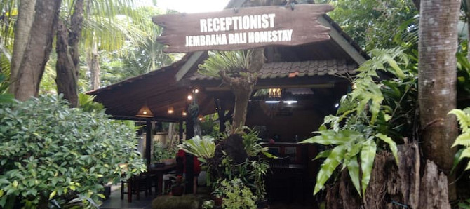 Jembrana Bali Homestay Twin Bed Room Негара - изображение 3