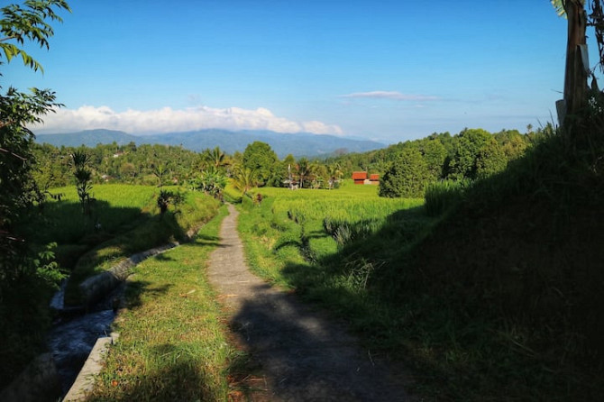 Органическая ферма в Acala Naturecho Banjar - photo 6