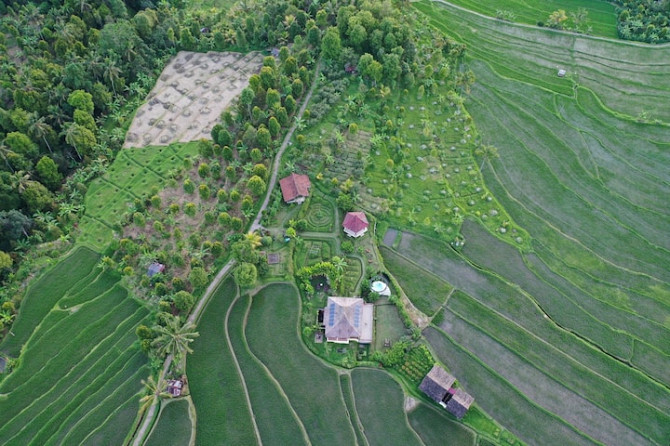 Органическая ферма в Acala Naturecho Banjar - photo 1