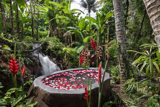 Вилла Bali Jungle Villa - Forest Haven Ubud