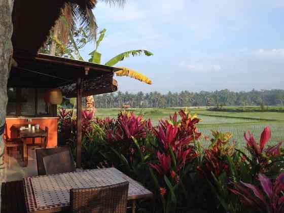 Потрясающие виды Гунунг Убуд на Бали Ubud