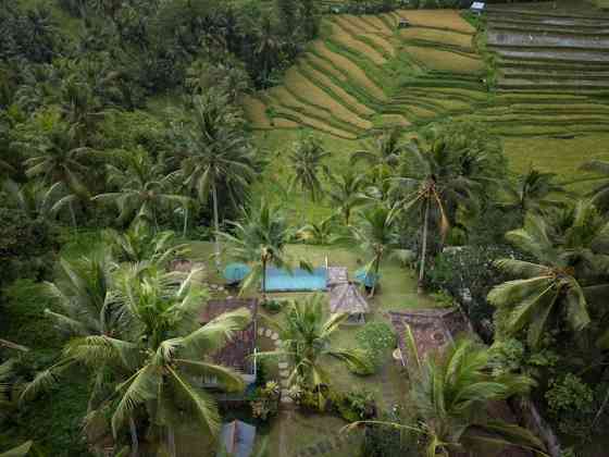 Отдельная вилла Alaya Padi Ubud