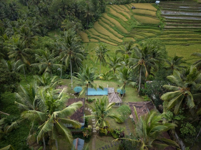 Отдельная вилла Alaya Padi Ubud - photo 1