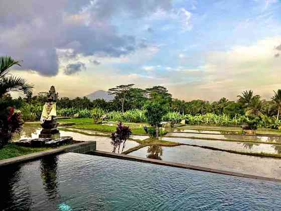 🌿Изысканная вилла с🍃 потрясающими видами на рисовые поля Убуда🍃 Ubud