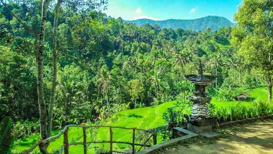 Buda 's Homestay Lemukih - Triple Room Bungalow Singaraja