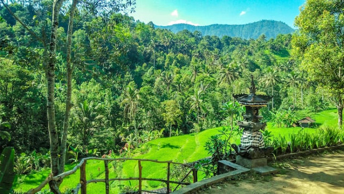 Buda 's Homestay Lemukih - Triple Room Bungalow Singaraja - photo 1