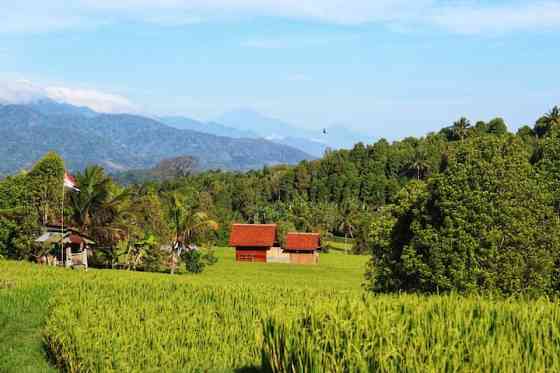 Органическая ферма в Acala Naturecho Banjar