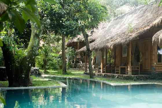 Omunitybali  Jungle View Room Singaraja