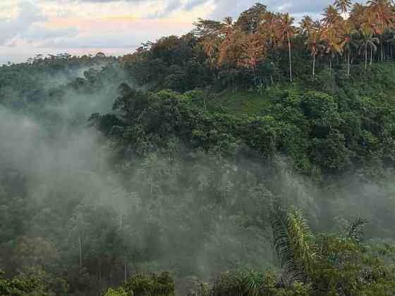 Дом в джунглях на вершине долины Ubud