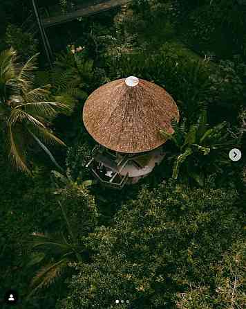 Красивый бамбуковый домик на дереве с видом на джунгли и долину Ubud