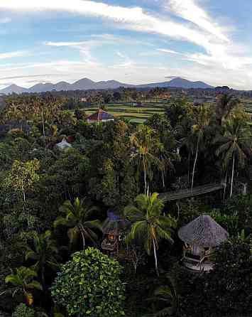 Красивый бамбуковый домик на дереве с видом на джунгли и долину Ubud