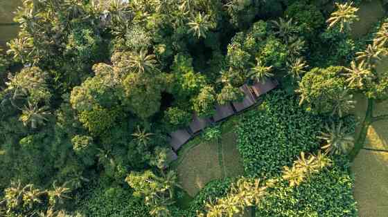 Вкусы джунглей с собственным бассейном с подогревом. Ubud