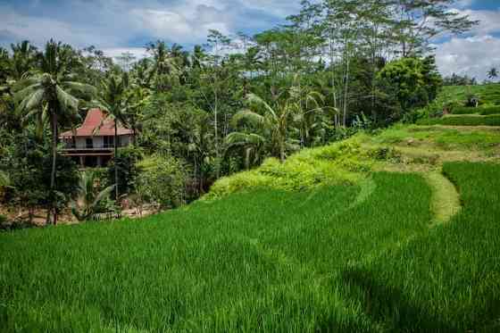 BeBaliStay, просторный Eco Farm House Ubud