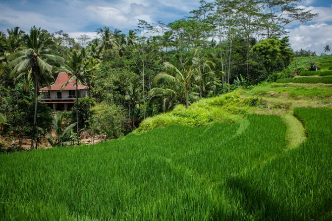 BeBaliStay, просторный Eco Farm House Ubud - изображение 2