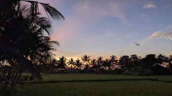 антикварный дом с частным бассейном Ubud