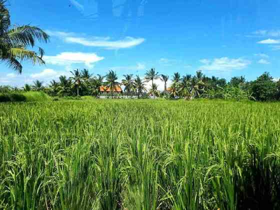 антикварный дом с частным бассейном Ubud