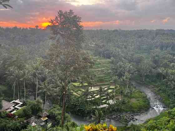 Niko room @ Bali's Iconic Property Ubud