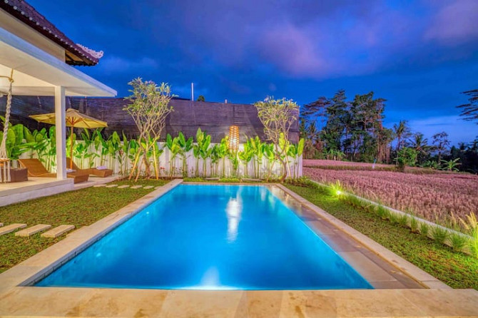 Villa Sawah Samesta Ubud - изображение 6