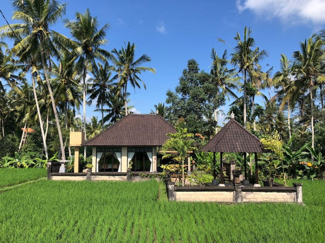 Легендарный дом «Ешьте, молитесь» с видом на рисовые поля Ubud - изображение 1