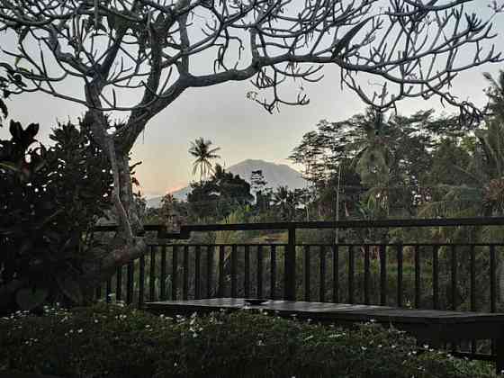 2 спальни с собственным бассейном Villa Distant-Ricefield View. Ubud