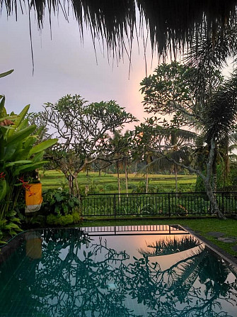 2 спальни с собственным бассейном Villa Distant-Ricefield View. Ubud - изображение 3