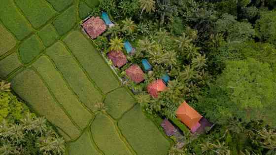 Тихая вилла с 1 спальней и видом на пышные джунгли Ubud