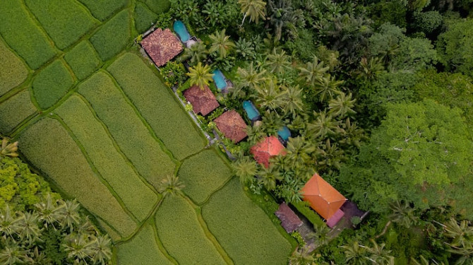 Тихая вилла с 1 спальней и видом на пышные джунгли Ubud - изображение 6