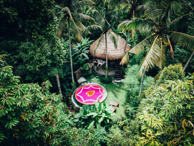 umatreehouse Ubud - изображение 1