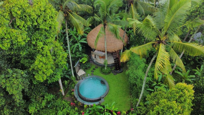 umatreehouse Ubud - изображение 2