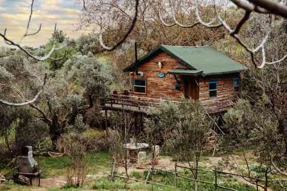 Treehouse Izmir Kemalpaşa Кемальпаша