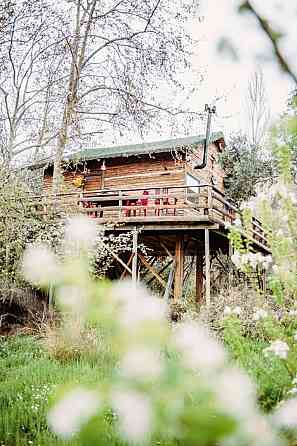 Treehouse Izmir Kemalpaşa Кемальпаша