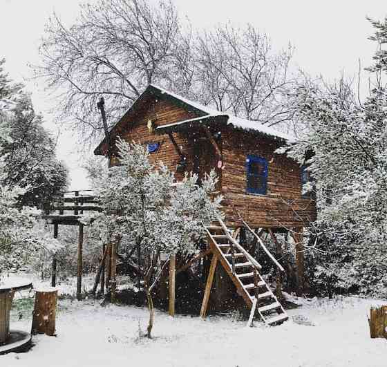 Treehouse Izmir Kemalpaşa Кемальпаша