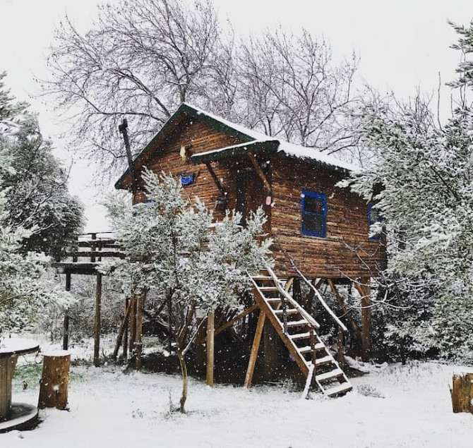 Treehouse Izmir Kemalpaşa Kemalpasa - photo 6