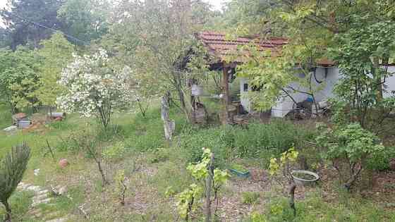 Yüksel Farm Dursunbey