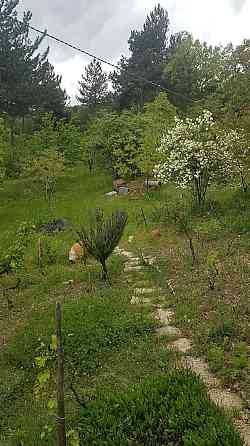 Yüksel Farm Dursunbey